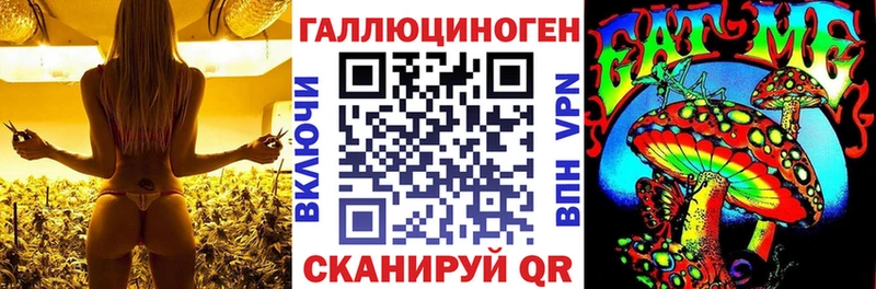Галлюциногенные грибы Cubensis  Питкяранта 