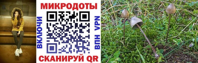 Псилоцибиновые грибы мухоморы Питкяранта